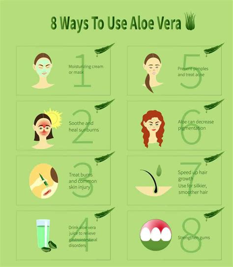 Homemade Diy Aloe Vera Face Mask Recipe Massage Gear Guru