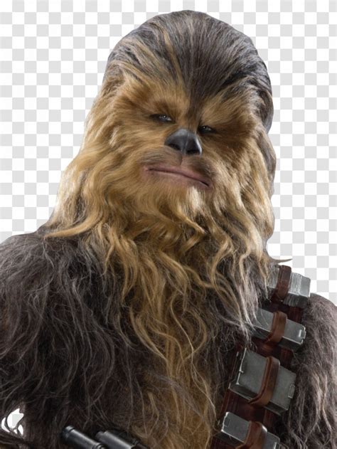 Chewbacca Han Solo Star Wars Sequel Trilogy Wookiee A Story