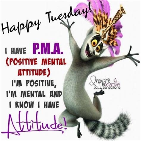 Use 'em on anybody who needs 'em, including you! Tuesdayy | Happy tuesday quotes, Morning quotes funny ...