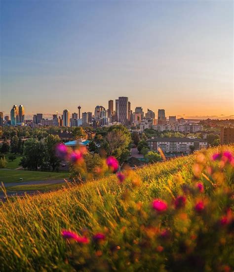 Hi Calgary City Centre In 2020 Tourism Instagram Sunset