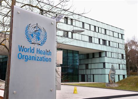 Explainer Whos Who The World Health Organization Under Scrutiny