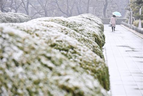 In Photos Osaka Castle Park Covered With Light Layer Of Snow The