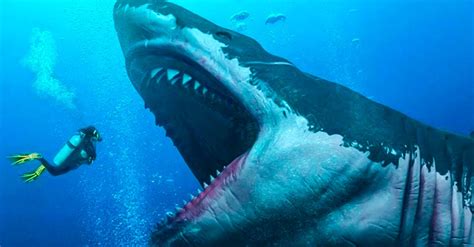 Descubren Tamaño Real De Megalodón El Tiburón Gigante