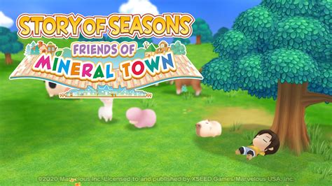 Friends of mineral town remake is. Story of Seasons: Friends of Mineral Town Nintendo Switch ...