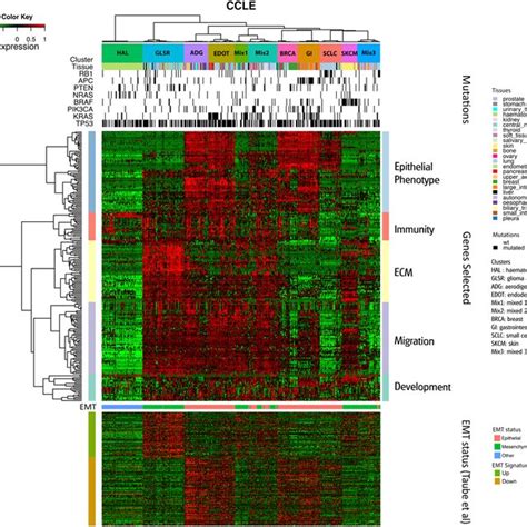 Cell Line Clustering With Ccle Data A Heatmap Clustering With 471