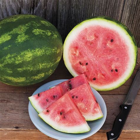 Crimson Sweet Watermelon Albert Lea Seed