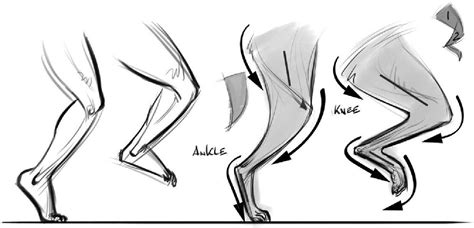 I've really wanted to start drawing ponies and i've been looking at anatomy tips. Has Anyone Seen My Glasses?: Animating Dogs, Part 1 ...