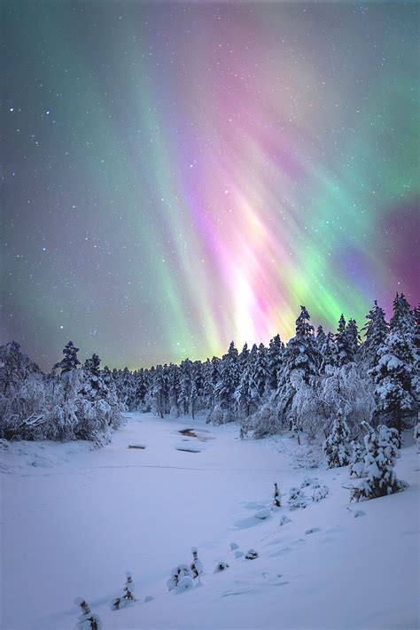 Aurora Borealis At The Urho Kekkonen National Park In Lapland Finland