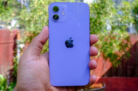 Ogling Apples Purple Iphone 12