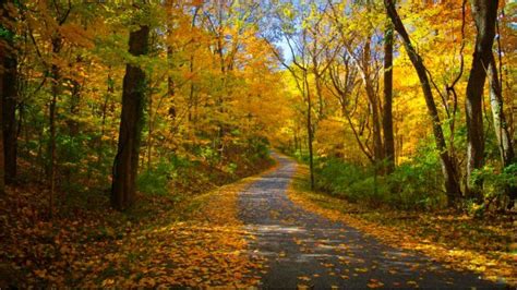 You Ll Want To Take This Gorgeous Fall Foliage Road Trip Around