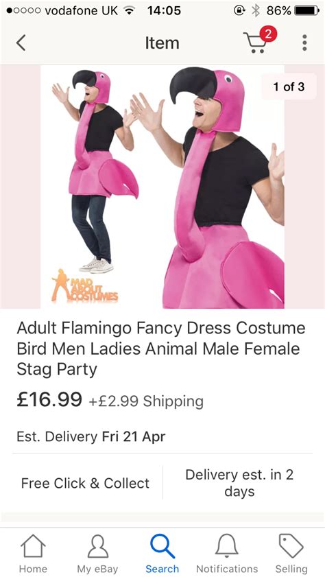 flamingo fancy dress stag party birdman mad hatter tea party ebay search alice in