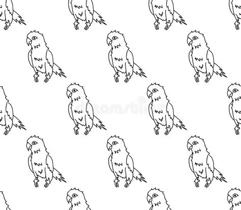 Parrot On White Background Vector Illustration Stock Vector