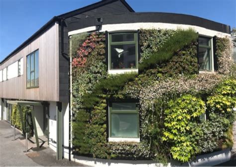 Living On Earth Green Walls For Life Air And Energy