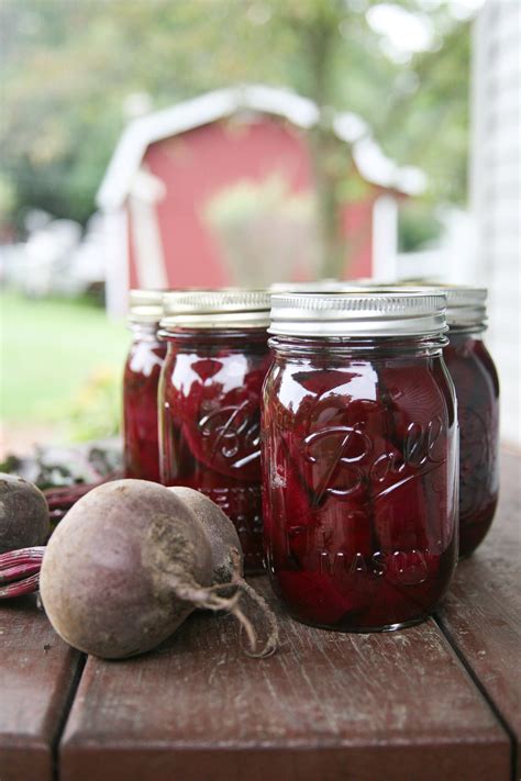 Canning Red Beets Pinch Of Parsley Canned Pickled Beets Canned Red