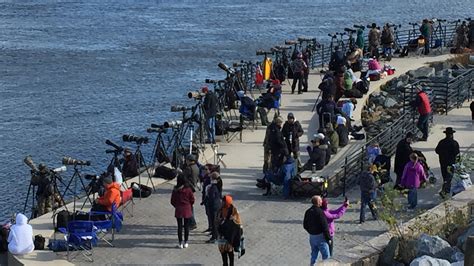 Hundreds Of Visitors Flock To Conowingo Dam Saturday For Photo Ops Of