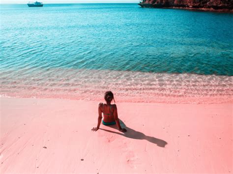 Lombok Pink Beach Island Hopping And Snorkeling With Japanese Guide