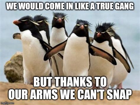 Penguin Gang Meme Imgflip