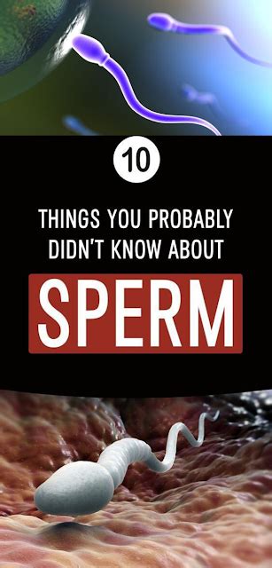 10 Things You Probably Didnt Know About Sperm Healthy Lifestyle