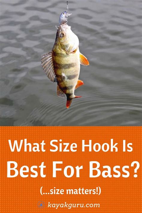 What Size Of Hook For Bass Fishing Guide To The Best For Lures Bait