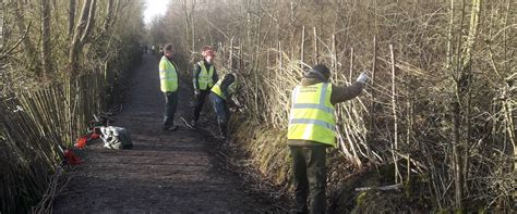 A boy who communicates with spirits seeks the help of a disheartened child psychologist. Volunteering at Sence Valley | Forestry England