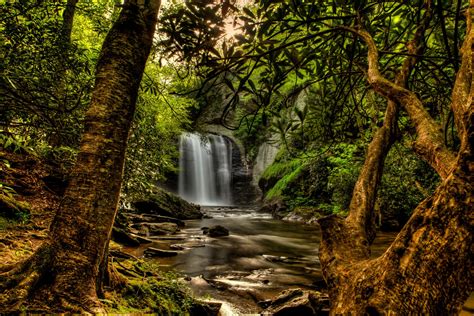 Green Forest Waterfall 5k Retina Ultra Hd Wallpaper Background Image