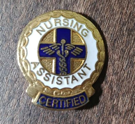 1977 Certified Nursing Assistant Enamel Gold Tone Lapel Pin Uniform Accessories Ebay