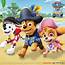 PAW Patrol Live The Great Pirate Adventure In Nashville At