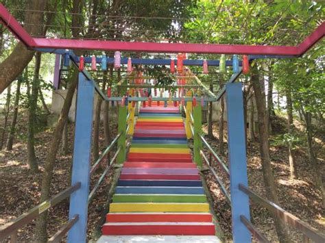 Hoga gaharu tea valley is located at gopeng, ipoh in malaysia, with around 400 million years old natural ecosystem and preserve 300 acres of gaharu trees. Stair Case Of Wishes - Picture of Gaharu Tea Valley ...