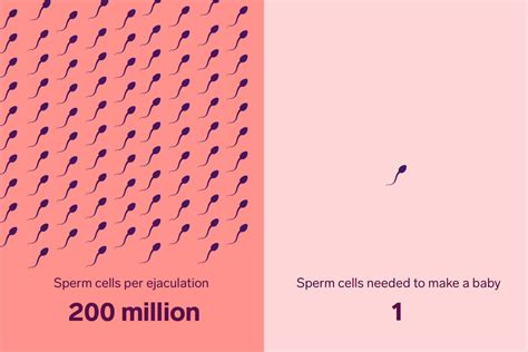 How Much Sperm Is Needed To Cause Pregnancy Pregnancywalls