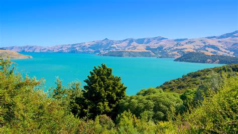 Visita Akaroa Scopri Il Meglio Di Akaroa Canterbury Nel 2022