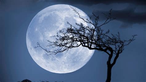 Luna Azul La Luna Llena En Halloween Cómo Verla Hora Gq