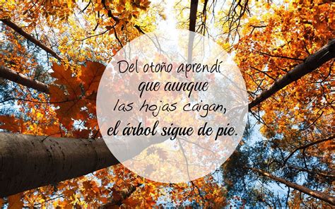 Total imagen frases sobre hojas de otoño Abzlocal mx