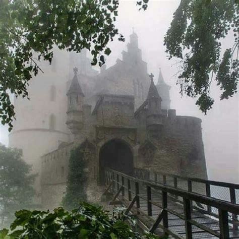 Foggy And Silent Castles To Visit Castle Beautiful Castles