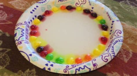 Skittles In Water Experiment Youtube