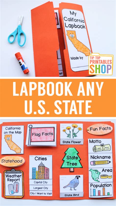 Lapbook Any State With This State Lapbook Homeschool Share Preschool
