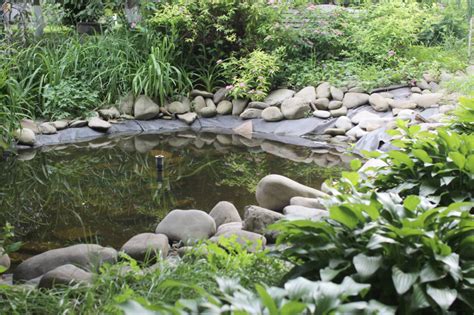 We did not find results for: Backyard Ponds: Cleaning and Maintenance | Blain's Farm ...