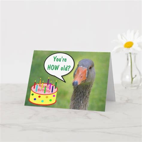 Judgmental Goose Funny Birthday Card In 2020 Birthday