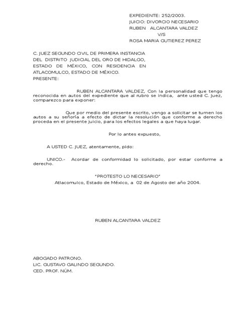 Solicitar Sentencia Definitiva Pdf