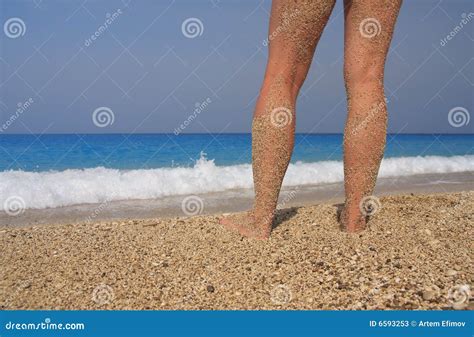 Taking A Sun Bath Stock Image Image Of Coastline Idyllic