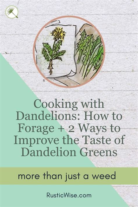 Cooking With Dandelions How To Forage Ways To Improve Taste Of