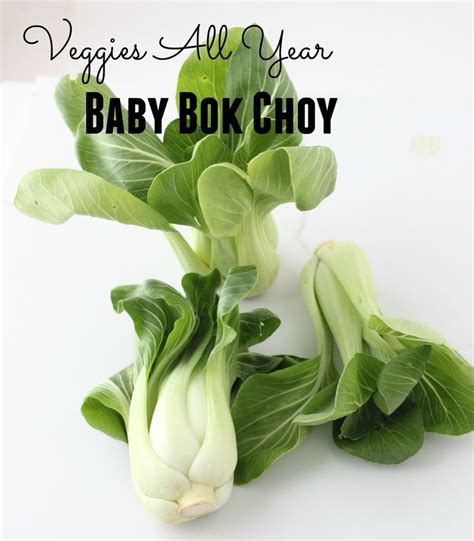Baby Bok Choy Nutrition