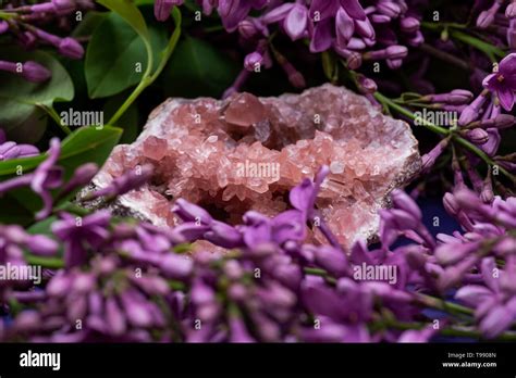 Rare Pink Amethyst Geode Cluster From Patagonia Argentina Surrounded