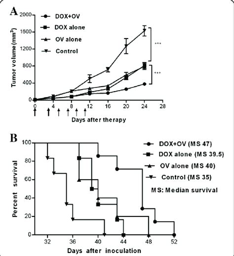 Anticancer Effect Of Doxorubicin And Or Hsv Hgm Csf Against T Breast