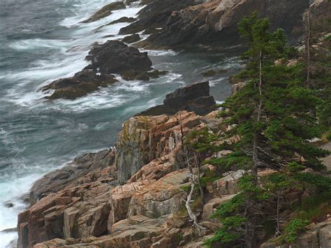 Rocky Shoreline Of Acadia National Park Photograph By Juergen Roth