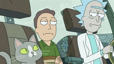Rick And Morty Talking Cat Explained