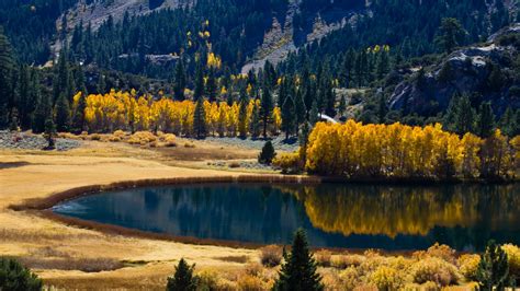Nature Lake Reflection Trees Colorful Landscape