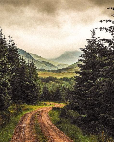 Forest Road Highlands Scotland By Thefuturekept At