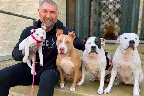 Dave Bautista Helps Aspca Shelter Pets For Giving Tuesday