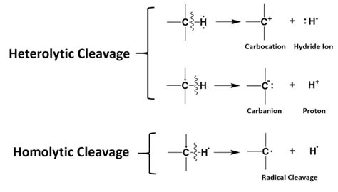 What Heterolytic Bond Cleavage Study The Below Table And Answer