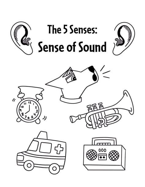 The 5 Senses Worksheets For Preschool ⋆ The Hollydog Blog